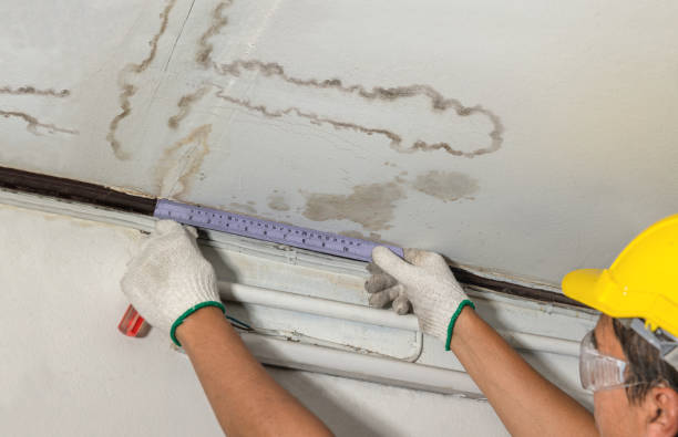 Reliable Flood Cleanup contractor in Terrell, TX by Water Damage Irwin
